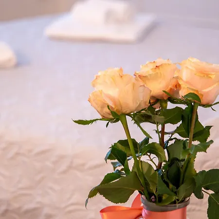 Il Giardino Di Luy Bergamo